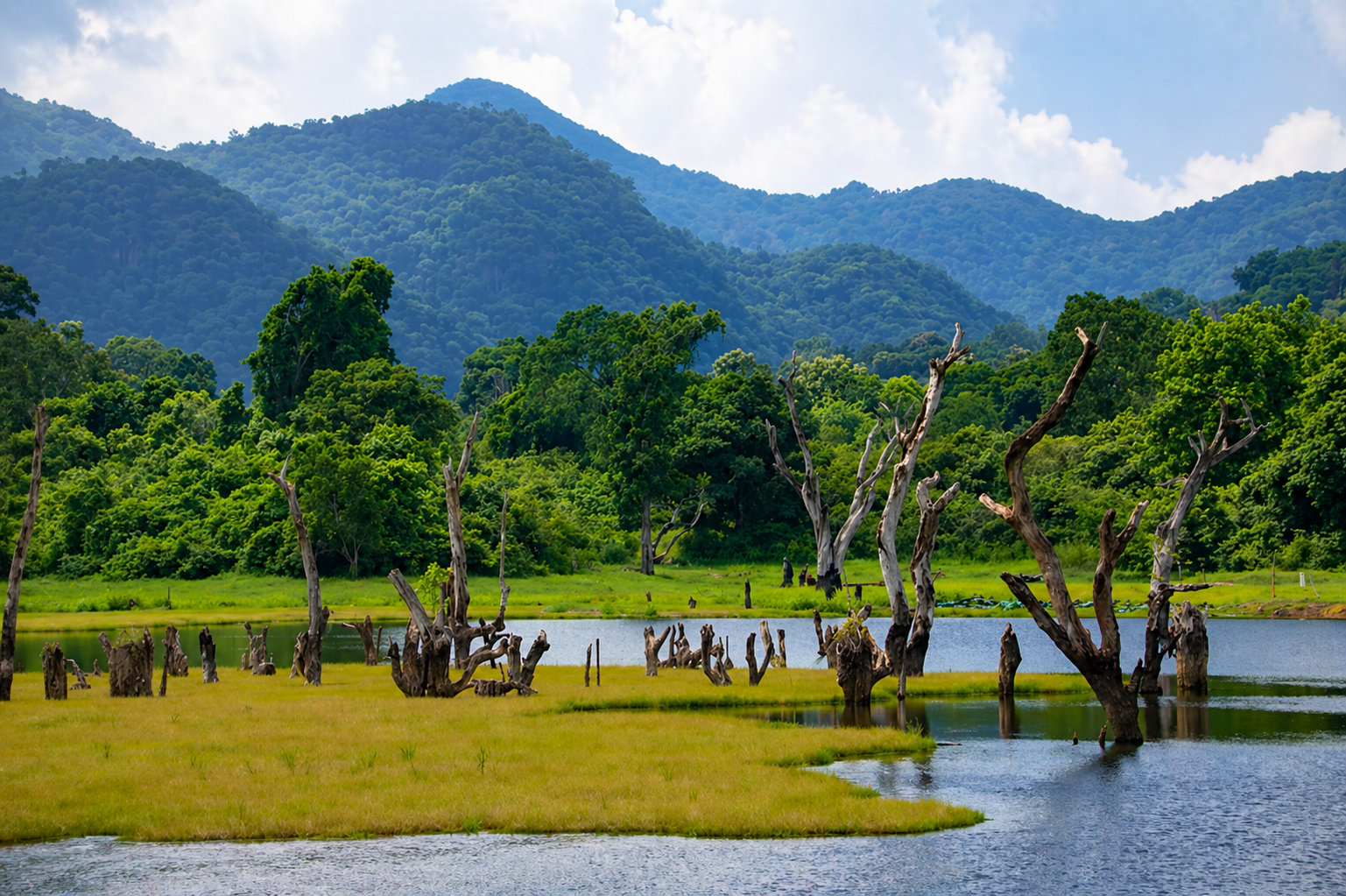 Gal Oya Eco Park Safari